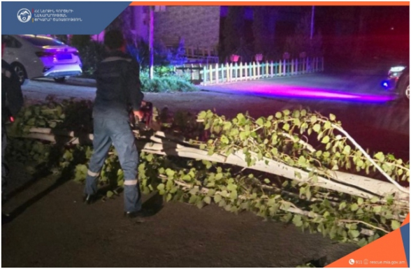 Արտաշատի Երևանյան խճուղում ծառը կոտրվել և ընկել է՝ երթևեկությունը դարձնելով միակողմանի